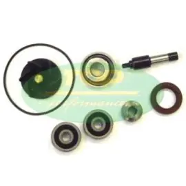 Non Perdere Kit revisione pompa acqua Piaggio 250/300cc AA00828