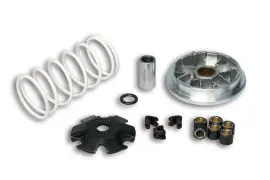 VARIATORE MULTIVAR 2000 per scooter 4T 50 cc - MALOSSI 5114206 Pagamento Sicuro