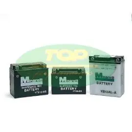 Esclusivo BATTERIA Yuasa YTX12-BS 12V10AH - 0012320
