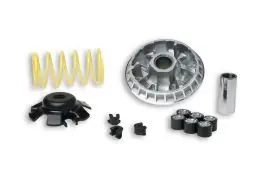 Promozione VARIATORE MULTIVAR 2000 - MALOSSI 5113393