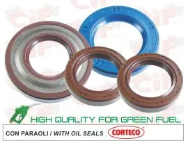 SERIE PARAOLIO MOTORE SCOOTER PIAGGIO-GILERA 125-150-180 2T - CIF - 6657-V Spedito Oggi