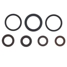 Non Perdere Serie Paraolio Motore PIAGGIO BEVERLY 125-200 01-15 - P400480400128