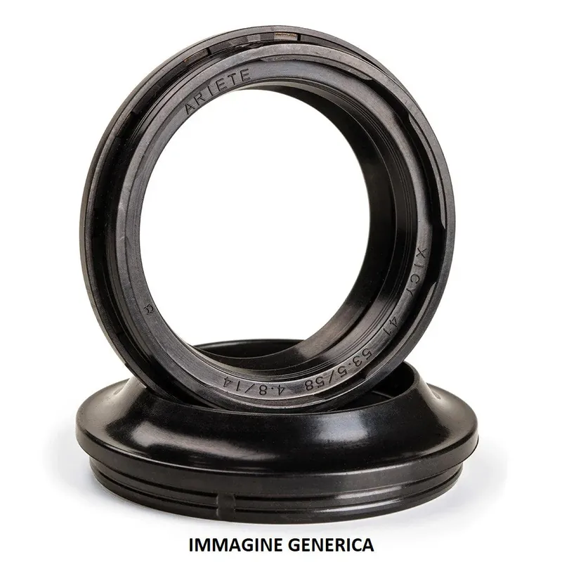 ARIETE Moto Coppia PARAOLIO ARI.120 Forcella 45 X 58 X 11 DCY Ducati, Aprilia RXV 4,5, Pegaso 650 Must-Have
