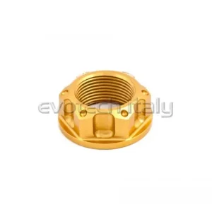 EVOTECH DADO RUOTA ANTERIORE POSTERIORE BMW YAMAHA KAWASAKI BENELLI ORO Nuova Collezione