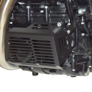 Ordina Subito ISOTTA Griglia di protezione per il filtro dell'olio per bmw f 700 gs 2012-2018