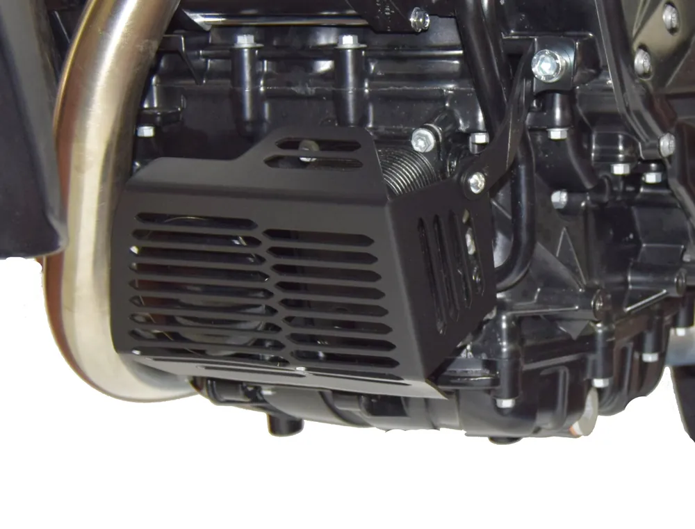 Ordina Subito ISOTTA Griglia di protezione per il filtro dell'olio per bmw f 700 gs 2012-2018