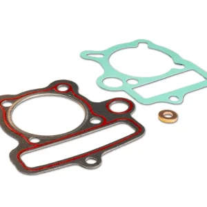 Promozione Esclusiva MALOSSI BUSTA GUARN.COMPL. CIL.Ø 53 per TESTA ORIGINALE PIT BIKE