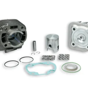 AEON MOTOR COBRA 50 2T (AT70) MALOSSI GR.TERM. Ø 40 ghisa sp.Ø 10 Acquista Ora