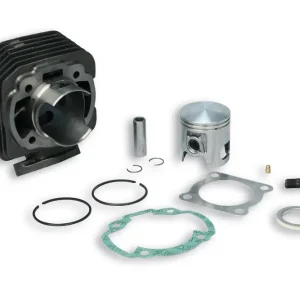 Reso Gratuito BSV  DIO ZX 50 2T 1994-> (AF34E) MALOSSI CILIN. Ø 47 ghisa sp.Ø 12 HON.DIO ZX 1994