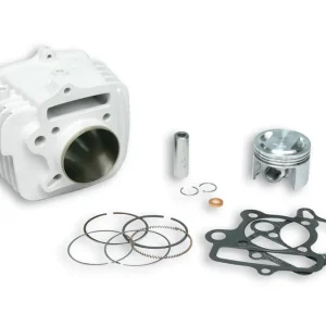 Sconto PIT BIKE PIT BIKE 150 4T (LIFAN 1P56FMJ) MALOSSI CILINDRO Ø 56 allum. sp.Ø 15 PIT BIKE 150 4t