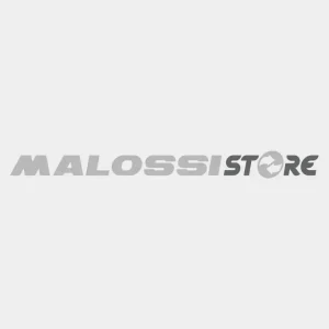 Spedizione Espresso MALOSSI COLLETTORE per MARM. RX omol. - con catalizzatore
