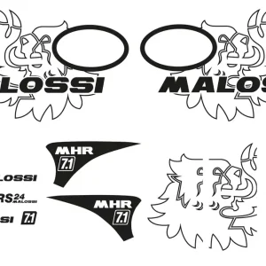 Vendita Finale MALOSSI KIT ADESIVI TROFEO VESPA