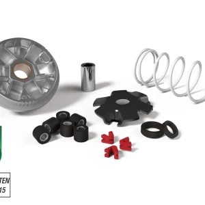 AEON MOTOR COBRA 50 2T (AT70) MALOSSI MULTIVAR OMOLOGATO per SCOOTER Scelto Dai Clienti