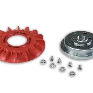 Offerta Del Giorno MALOSSI COMPLESSIVO VOLANO Ø 125x42/VENTOLA per accensione VESPower