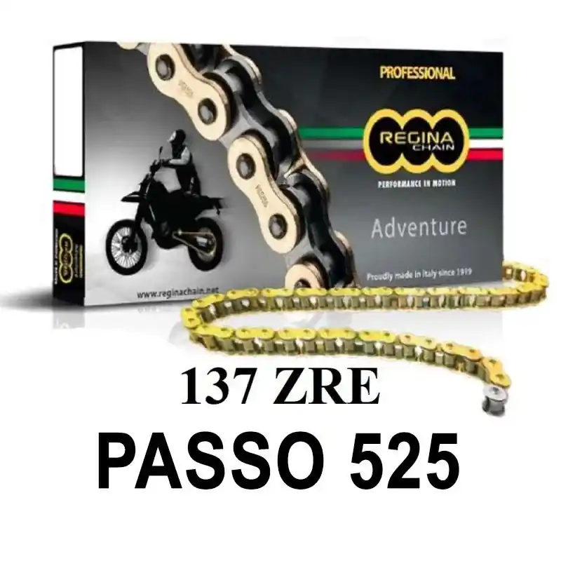 REGINA Catena 137ZRE 114 maglie passo 525 - Oro Solo Oggi