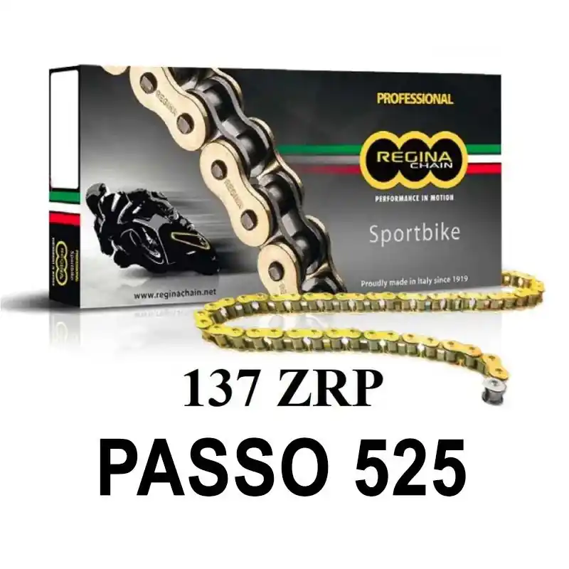 Offerta Lampo REGINA Catena 137ZRP 96 maglie passo 525 - Oro