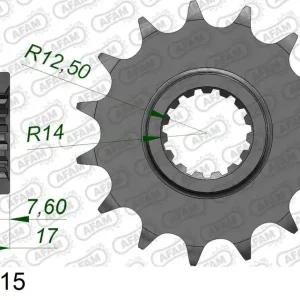 Pignone AFAM 52901-15 passo 525 DUCATI V4 1103 STREETFIGHTER 2020 Offerta