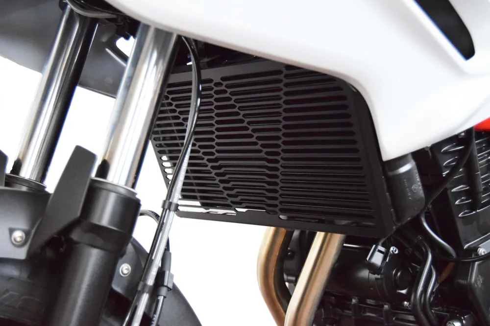 ISOTTA Griglia di protezione per il radiatore nera per Bmw F 700 GS 2012-2018 - GR1084 Professionale