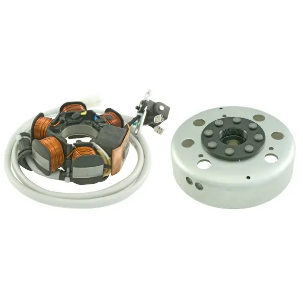 Prezzo Ridotto Volano completo RMS Piaggio Sfera/Free 50cc per GILERA EASY MOVING 50 1995 - 1996