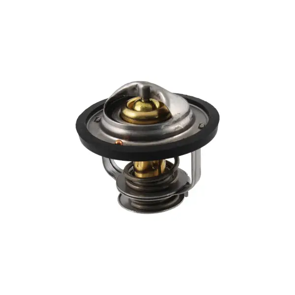 Termostato RMS Piaggio Porter 1.3  per PIAGGIO PORTER 1000-1300 PICK-VAN 1300 1992 - 2009 Acquista Ora