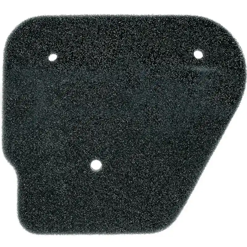 Ordina Subito Filtro d'aria V PARTS -