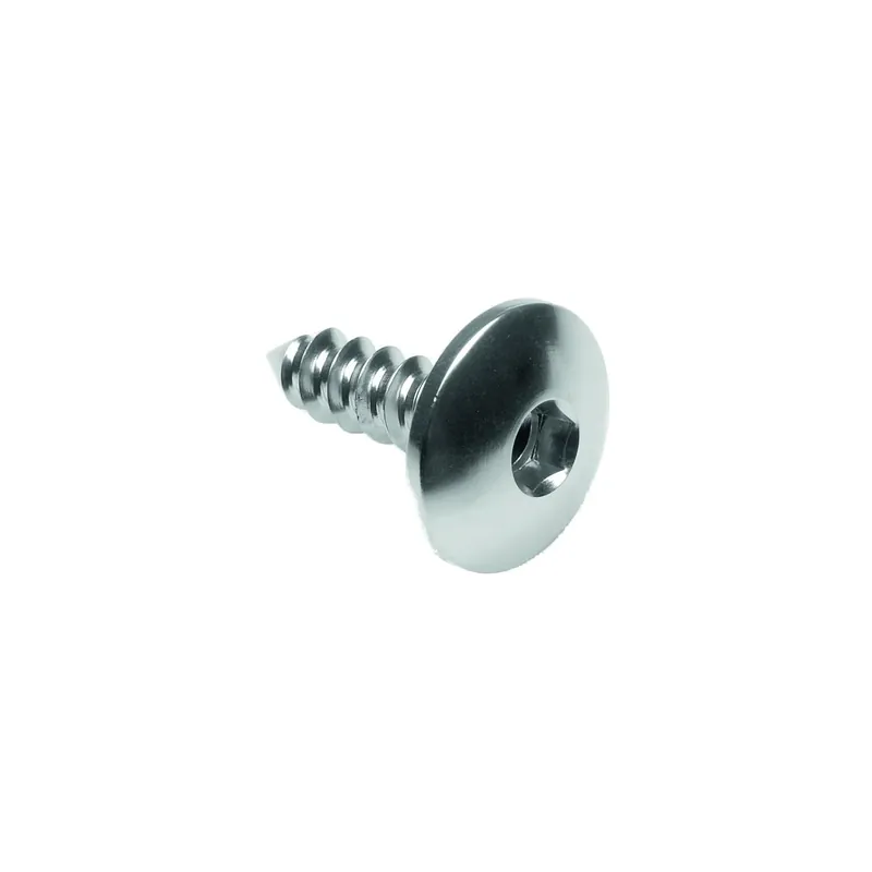 Vite Autofilettante 003 D=5,5x19 Ergal Più Venduto