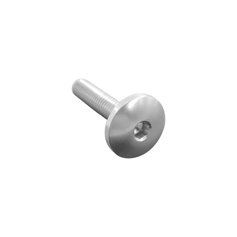 Ordina Subito Vite Testa Bombata Erg. Cl 003 M8 L. 35 Testa Ø22 Ergal (7075 T6)