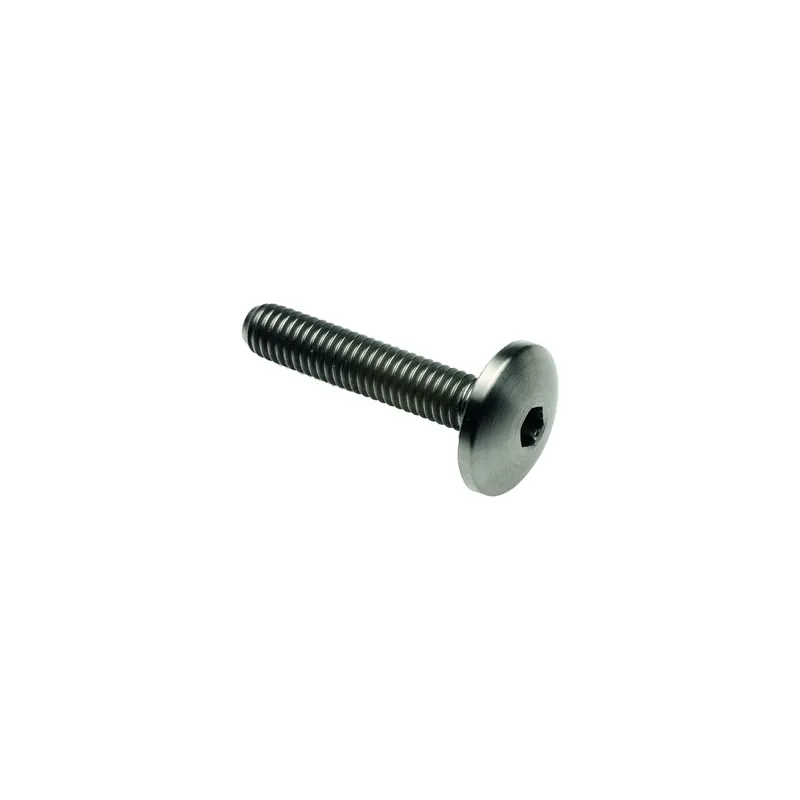 Reso Gratuito Vite Bombata Tit. G.5 Cl 003 M5 L. 40 Testa Ø14  Titanio 6al4v Gr.5