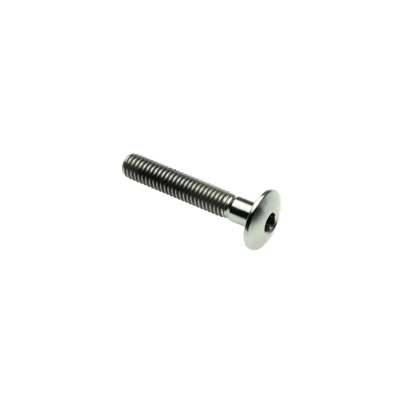 Vite Bombata Tit. G.5 Cl 002 M8 L. 70 Testa Ø16 Titanio 6al4v Gr.5 Offerta Speciale