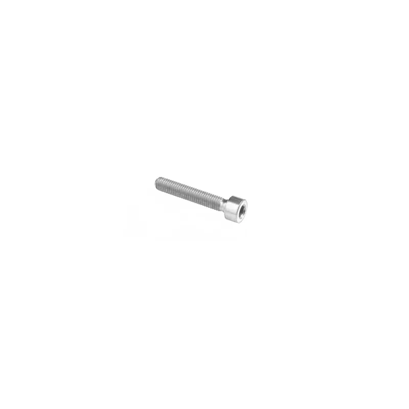 Offerta Lampo Vite Esagono Inc. Tit. G.5 Cl 001 M4 L. 20