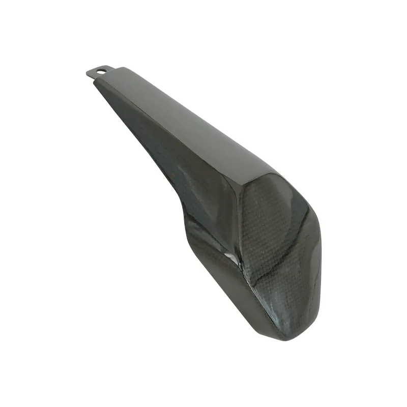 Professionale LIGHTECH Cover Sellino Passeggero in Carbonio per Ducati Panigale V4 2018