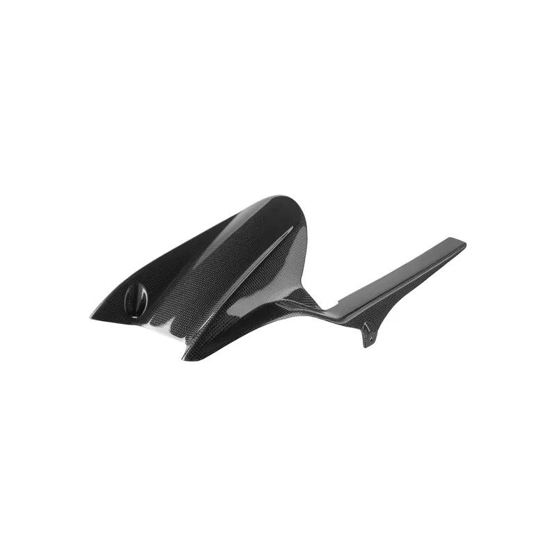 Offerta LIGHTECH Parafango Post. In Carbonio per Triumph Street Triple 765 R 2017
