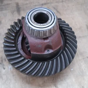 Compra Oggi Stesso CORONA 40 DENTI PORTER