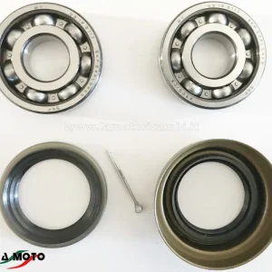 KIT CUSCINETTI PER RUOTA ANTERIORE PER PIAGGIO QUARGO-PIAGGIO PORTER Di Tendenza