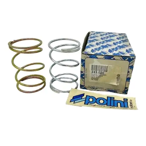 Offerta Del Giorno KIT MOLLE CONTRASTO POLINI COMPATIBILE CON HONDA BSV CAGIVA KYMCO PEUGEOT POLINI